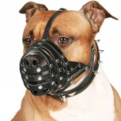 CollarDirect Pitbull Leather Strap Dog Muzzle, Black