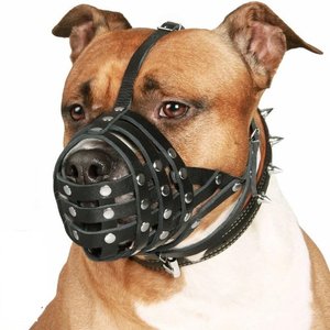 CollarDirect Pitbull Leather Strap Dog Muzzle, Black