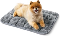 Bedsure Thin Soft Fleece Fully Machine Washable Dog & Cat Crate Mat, Grey, Small: 24-in