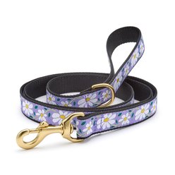 Up Country Daisy Dog Leash, Multicolor, 5-ft long, 1-in wide