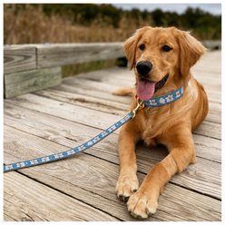 Up Country Magnolia Dog Leash, Multicolor, 5-ft long, 1-in wide slide 2 of 2