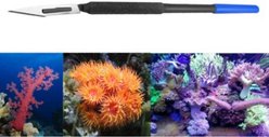 Tamsco Instruments Soft Coral Knife Aquarium Coral Care, 6-in slide 2 of 2