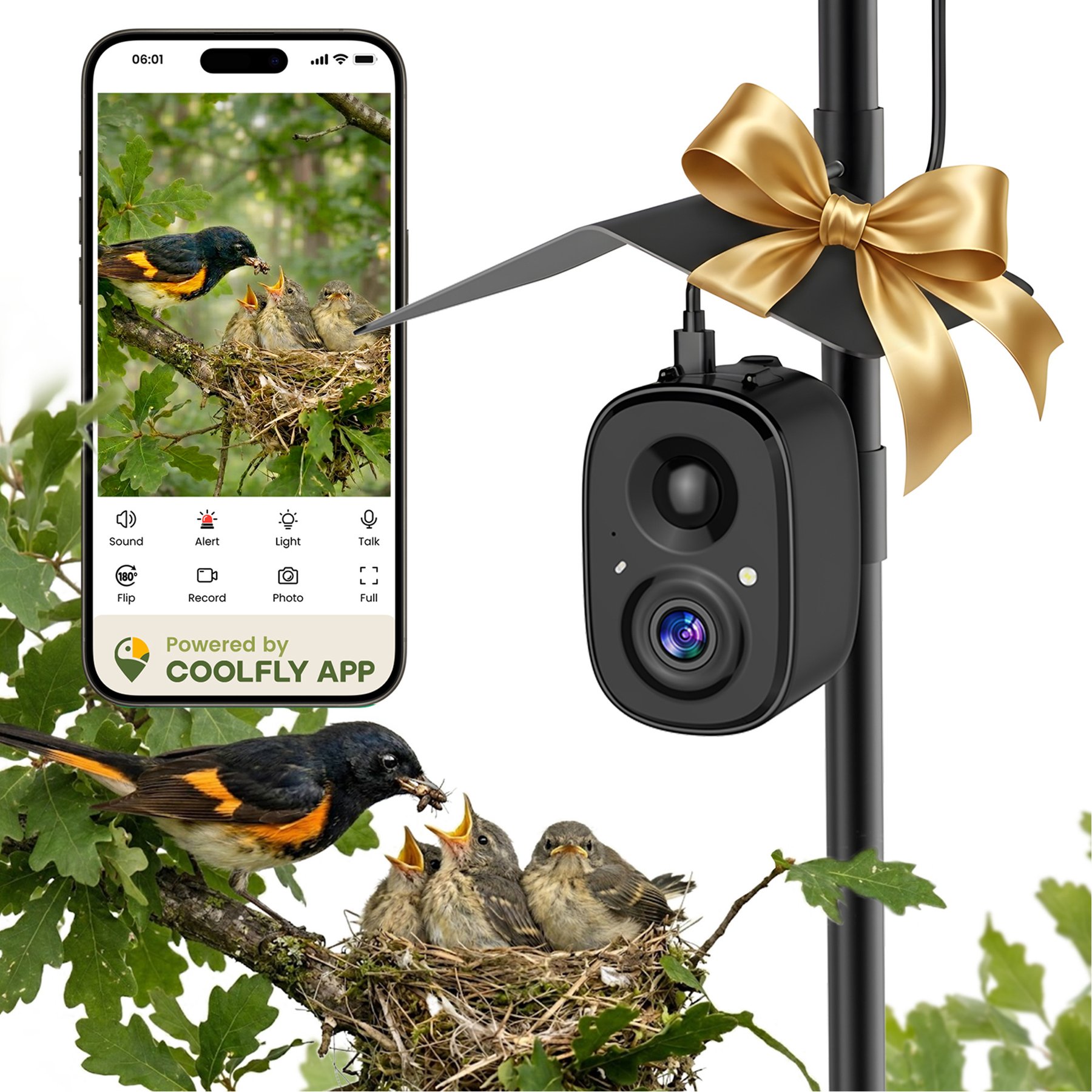 CoolFly Solar Smart Bird 2.5K Video Camera Kit with Ground Stake Pole & Lifetime Free AI Bird ID, Black