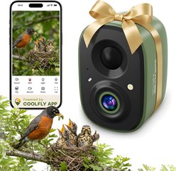 COOLFLY Smart Bird Feeder Camera with Lifetime Free AI Bird ID & Instant Alerts, Green slide 1 of 9