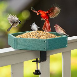 Kingsyard Clamp-On Deck 11-in Hexagon, Adjustable Balcony Railing Clamp 2.2-in No-Drill Wild Bird Feeder, Green slide 2 of 7