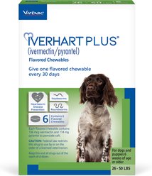 Iverhart Plus Chewable Tablet for Dogs, 26-50 lbs, (Green Box), 6 Chewable Tablets (6-mos. supply)
