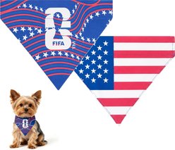 FIFA PawSwag USA Machine Washable Dog Bandana, Blue, Small
