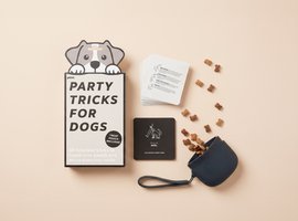 Toys, gifts & novelty