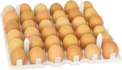Hatching Time Chicken Egg Carrier for CT Incubators & Storage, 36 eggs