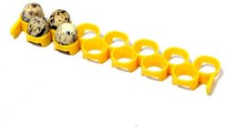 Hatching Time Quail 9 to 13 Egg Rack slide 1 of 2
