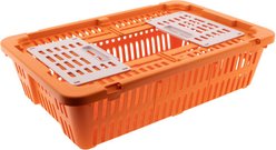 Hatching Time Transport Quail & Pigeon Coop with Dual Access Doors, Orange