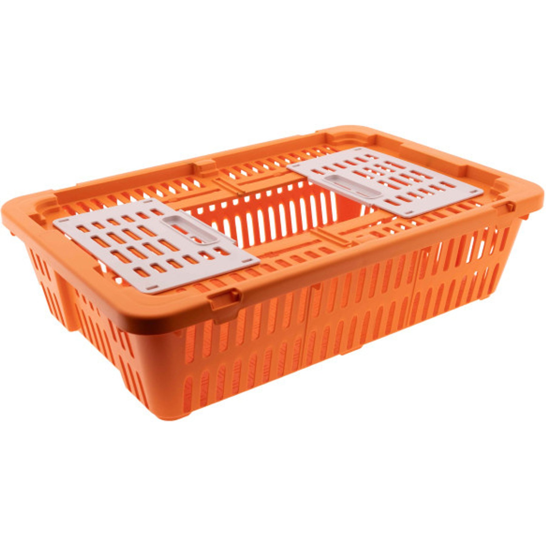 Hatching Time Transport Quail & Pigeon Coop with Dual Access Doors, Orange