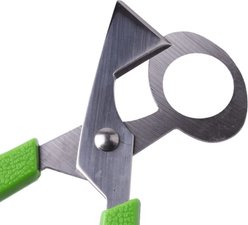 Hatching Time Quail Egg Scissors