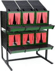Hatching Time 6-Compartment 60 Hen Nesting Box with Front Egg Collection