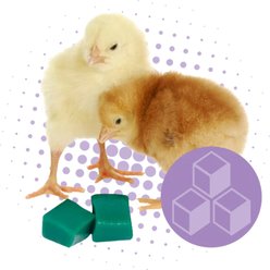 Hatching Time HydroGel 95 Poultry Hydration Gel with Electrolytes & Vitamins, 1 count slide 2 of 3