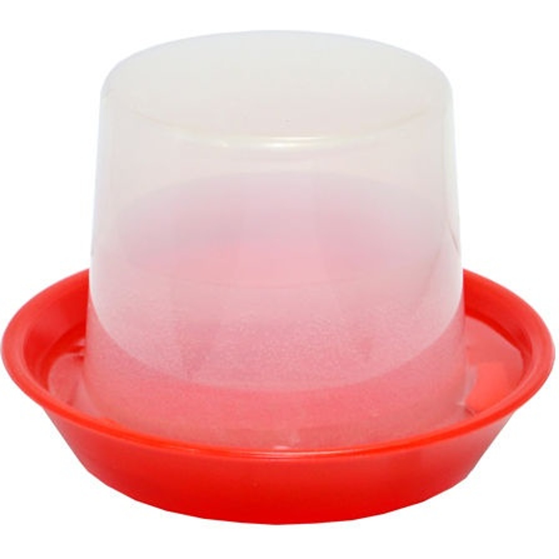 Hatching Time Chick Starter Drinker & Waterer, 12-oz