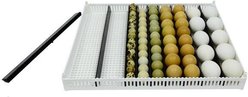 Hatching Time Flexy 80 Egg Setter Tray with Adjustable Separators