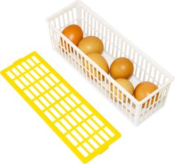 Hatching Time Stackable Chicken, Quail & Duck Incubator Basket with Cover, 6 eggs slide 2 of 2