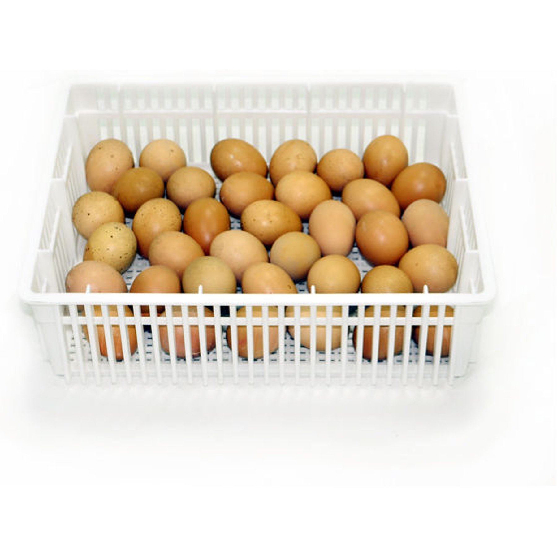 Hatching Time CS35Y Poultry Hatching Basket Cover