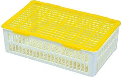 Hatching Time Chicken & Duck Egg Carrier, 15 eggs slide 1 of 3