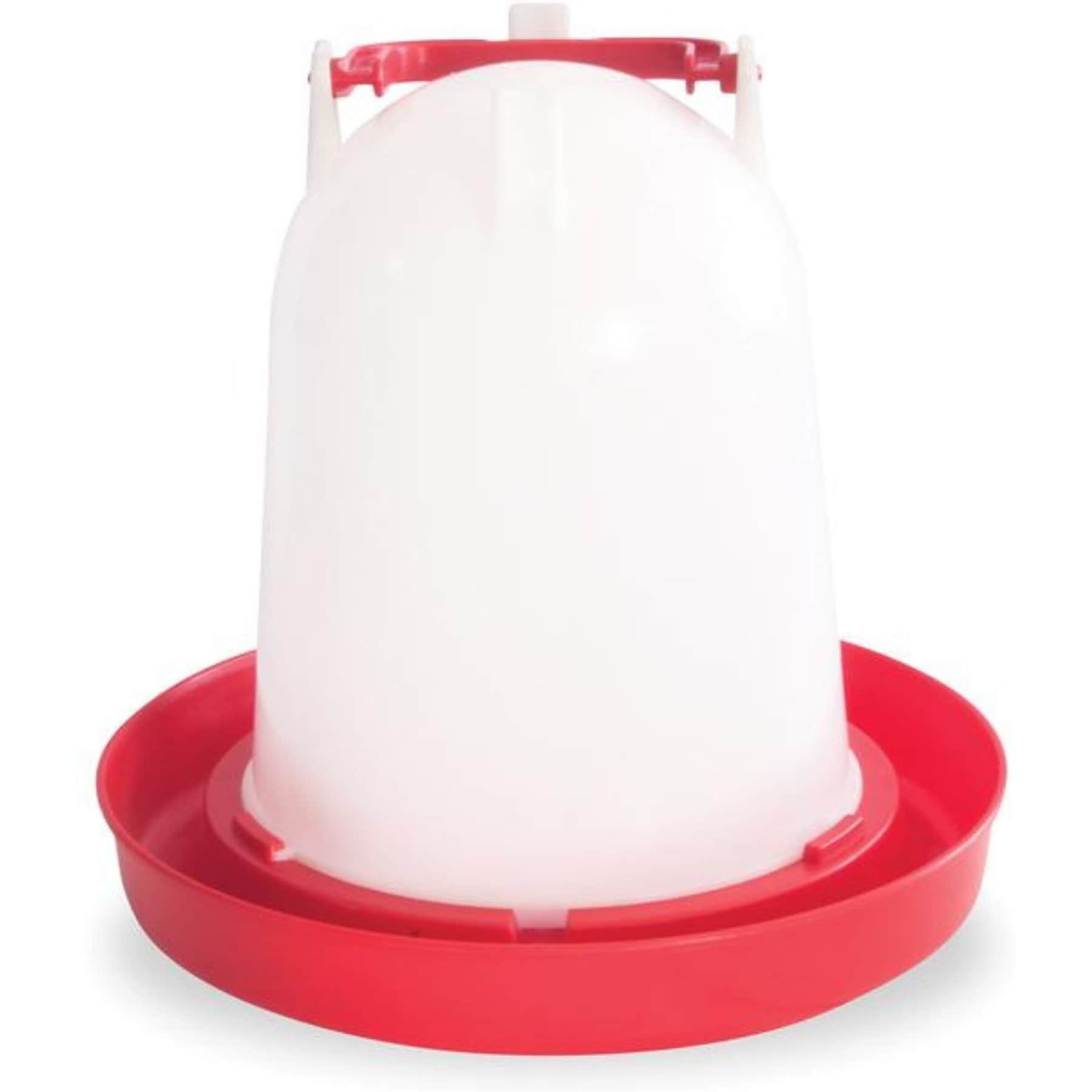 Hatching Time Chicken, Duck & Backyard Flock Waterer, 2.5-gal