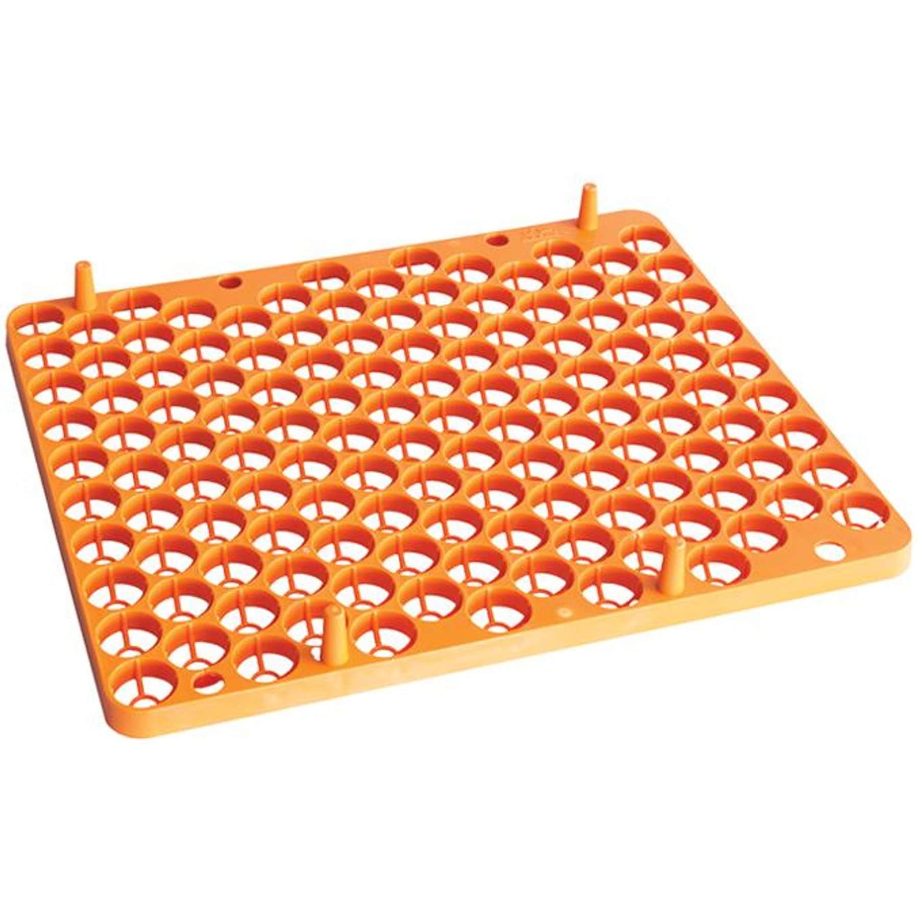 Hatching Time Quail Egg Carrier for Incubation & Storage, 129 eggs
