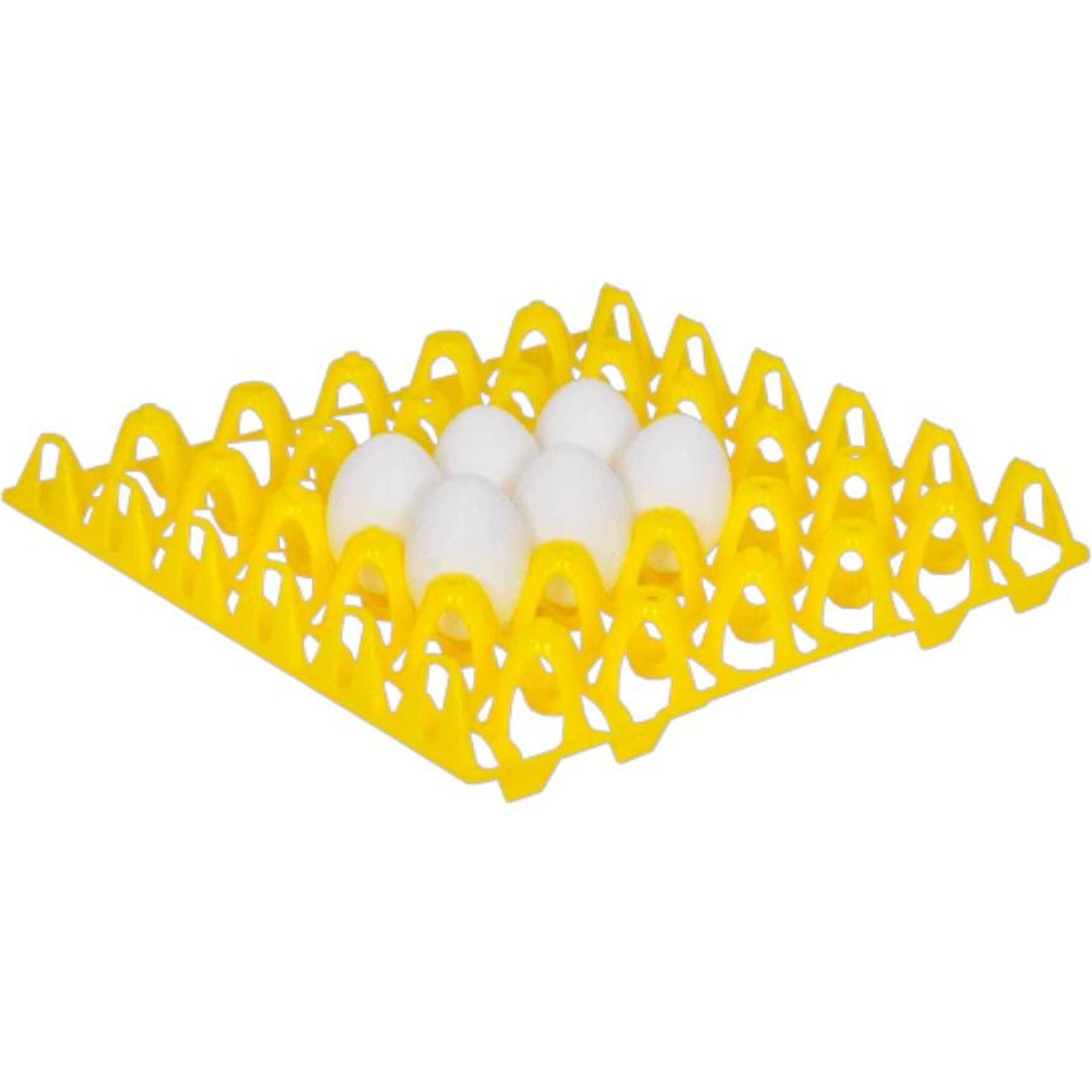 Hatching Time Plastic Chicken Egg Carrier for Collection & Incubation, 30 eggs