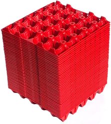 Hatching Time Plastic Turkey & Duck Egg Carrier for Collection & Storage, 20 eggs slide 2 of 2