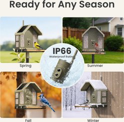 Birdfy Squirrel-Proof Solar Powered Metal 2 4K Smart Wild Bird Feeder with Camera, Moss Green, 1.8-L slide 2 of 9