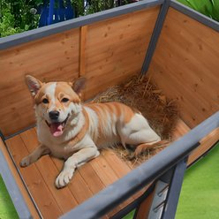 Zeus & Ruta Waterproof Solid Wood Dog House, Brown slide 2 of 6