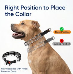 Supet Adjustable Long Prongs Dog Choke Collar with Quick Release Buckle, Black, Medium: 16 to 18-in neck slide 2 of 7