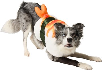 Frisco Sushi Dog & Cat Costume, Large