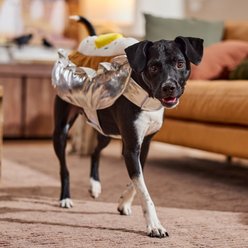 Frisco Baked Potato Dog & Cat Costume, Large slide 2 of 7