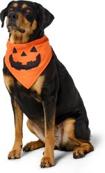Frisco Jack O' Lantern Pumpkin Dog & Cat Bandana Costume, Orange, Medium/Large