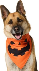 Frisco Jack O' Lantern Pumpkin Dog & Cat Bandana Costume, Orange, X-Large/XX-Large
