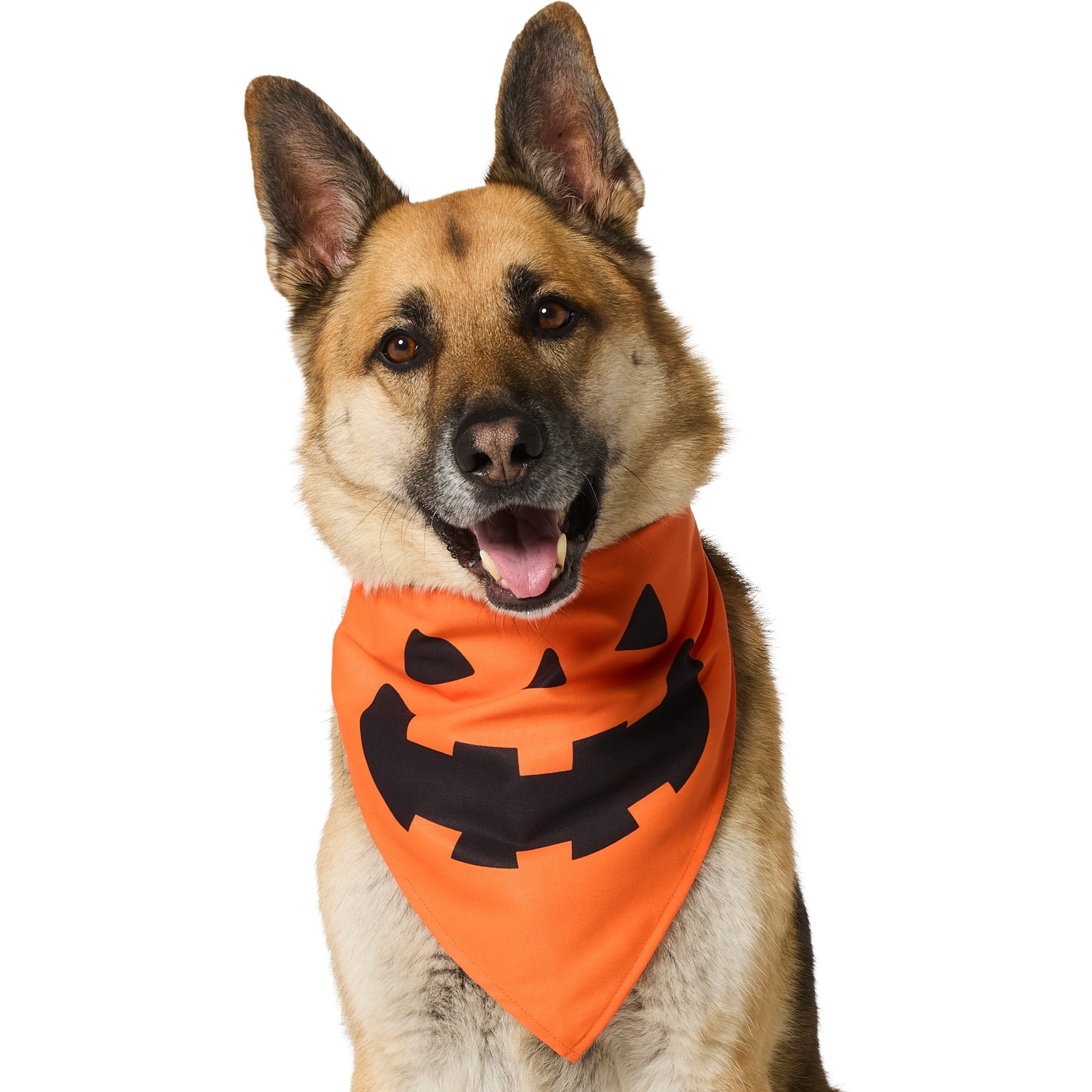 Frisco Jack O' Lantern Pumpkin Dog & Cat Bandana Costume, Orange, X-Large/XX-Large