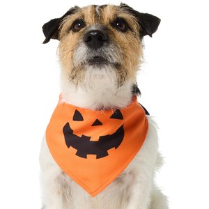 Frisco Jack O' Lantern Pumpkin Dog & Cat Bandana Costume, Orange, X-Small/Small