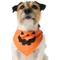 Show in main carousel: Frisco Jack O' Lantern Pumpkin Dog & Cat Bandana Costume, Orange, X-Small/Small slide 2 of 8