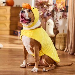 Frisco Duck Dog & Cat Costume, XX-Large slide 2 of 7
