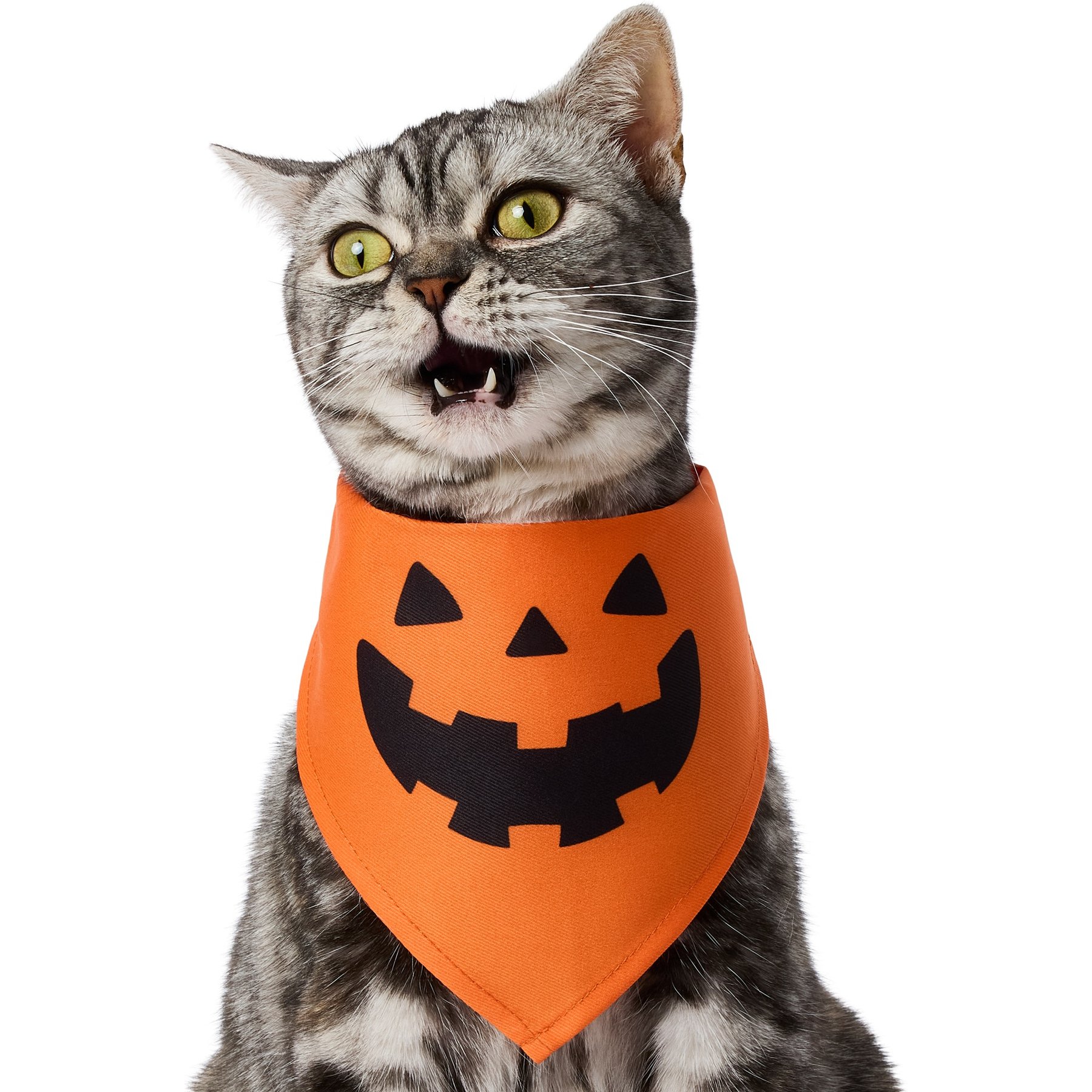 Frisco Jack O' Lantern Pumpkin Dog & Cat Bandana Costume, Orange, X-Small/Small