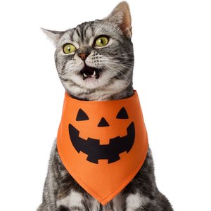 Frisco Jack O' Lantern Pumpkin Dog & Cat Bandana Costume, Orange, X-Small/Small