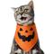Show in main carousel: Frisco Jack O' Lantern Pumpkin Dog & Cat Bandana Costume, Orange, X-Small/Small slide 1 of 8