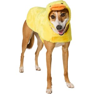 Frisco Duck Dog & Cat Costume, Large