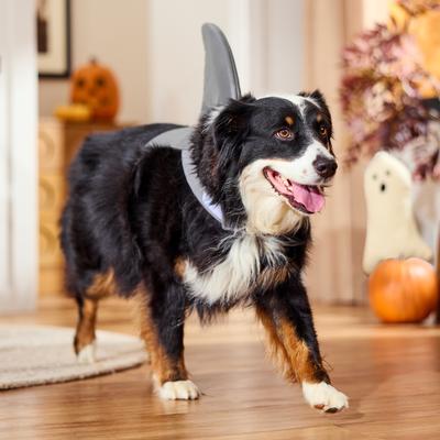 Show full view: Frisco Shark Fin Dog & Cat Costume Accessory, X-Large/XX-Large slide 6 of 8