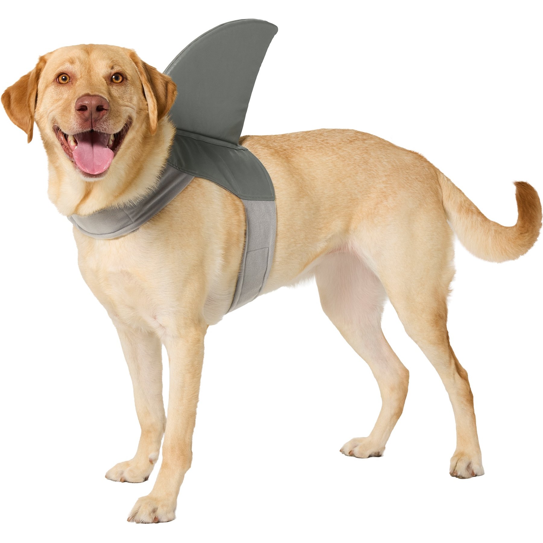 Frisco Shark Fin Dog & Cat Costume Accessory, X-Large/XX-Large