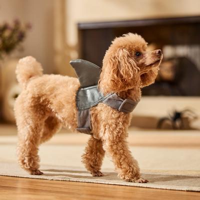 Show full view: Frisco Shark Fin Dog & Cat Costume Accessory, X-Small/Small slide 7 of 9