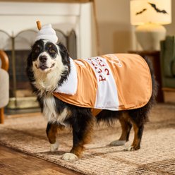 Frisco Pup-kin Spice Latte Cape Costume Accessory, X-Large/XX-Large slide 2 of 7