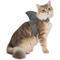 Show in main carousel: Frisco Shark Fin Dog & Cat Costume Accessory, X-Small/Small slide 1 of 9