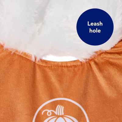 Show full view: Frisco Pup-kin Spice Latte Cape Costume Accessory, X-Small/Small slide 5 of 8