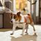 Show in main carousel: Frisco Pup-kin Spice Latte Cape Costume Accessory, X-Small/Small slide 6 of 8